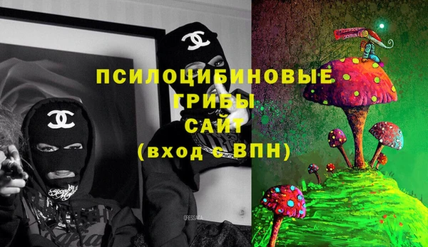 прущие крисы Магас