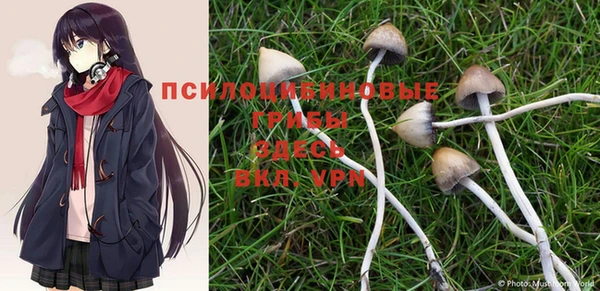 мет Майский