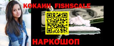 стафф Кингисепп