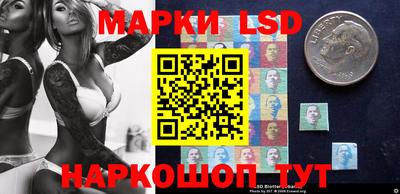 стафф Кингисепп
