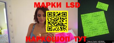 стафф Кингисепп