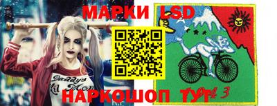 стафф Кингисепп