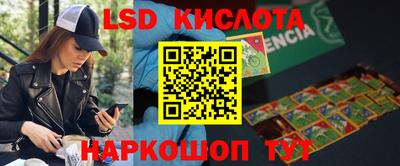 стафф Кингисепп