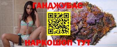 стафф Кингисепп