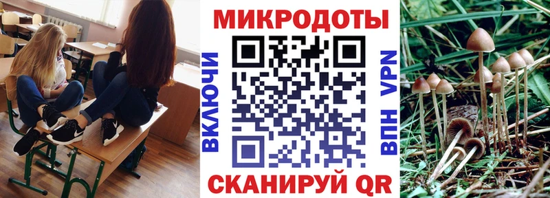 Псилоцибиновые грибы Psilocybine cubensis  Кисловодск 