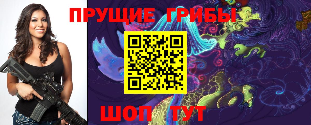 Псилоцибиновые грибы мицелий  Галлюциногенные грибы мицелий  где купить наркоту  Кисловодск  Вход с VPN 